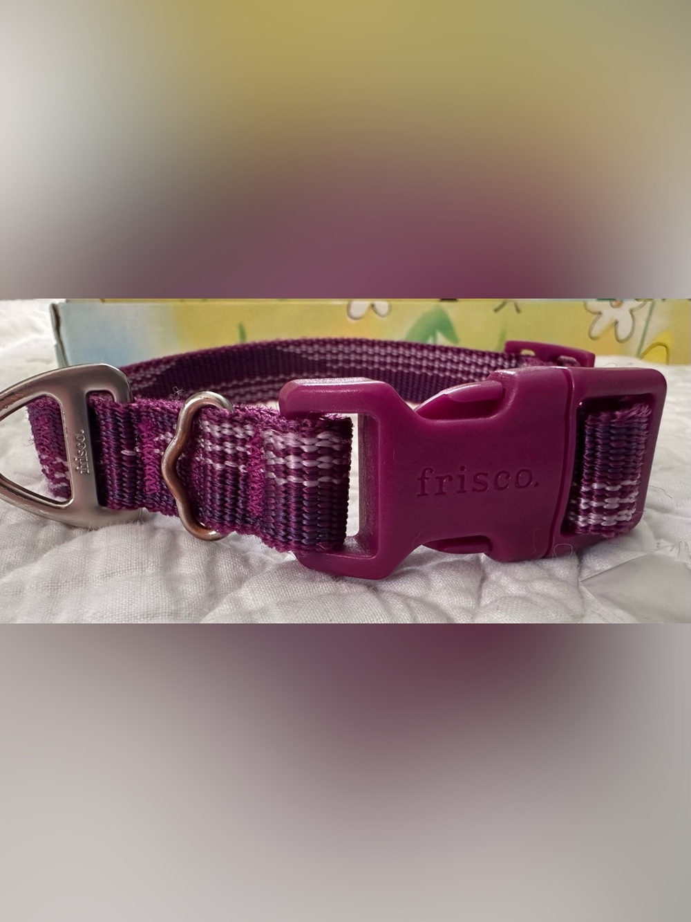 New~Frisco Plum Adjustable Dog Collar